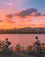 今晚英超足球比分-今夜英超风云，比分背后的战术博弈与豪门暗战